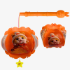 Lồng đèn 5 mảnh mèo túi vàng HT7784